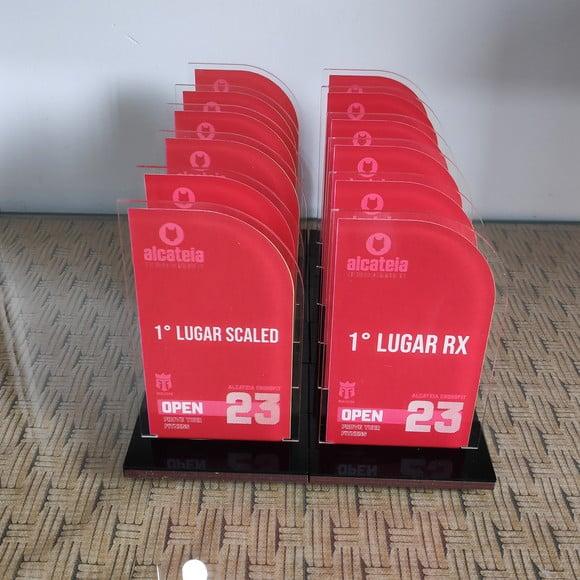 Trofeu Acrilico Personalizado Mensão Honrosa Economico