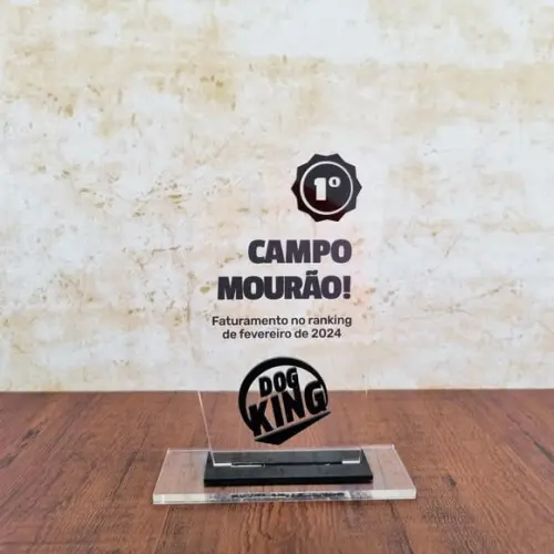 Trofeu Acrilico Personalizado Mensão Honrosa Luxo