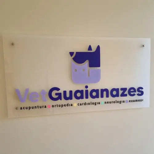 Placa Acrílico com Logo 3d Colorida Uv 100x50cm