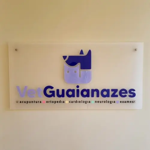 Placa Acrílico com Logo 3d Colorida Uv 80x40cm