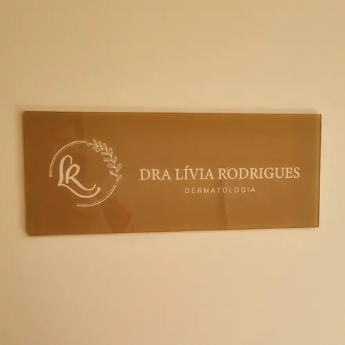 Placa Acrílico Identificação Porta Logo Impressão Uv 30x12cm