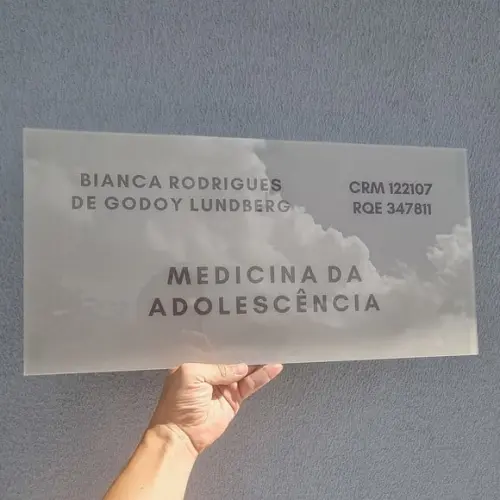 Placa Acrílico Identificação Porta Logo Impressão Uv 40x20cm