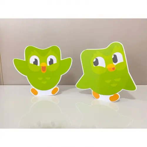 Kit Festa Completo Duolingo