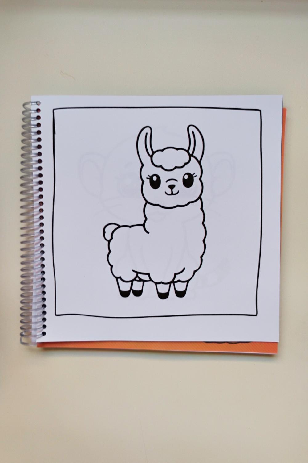 Livro de Colorir Animais - Caderno de Atividades