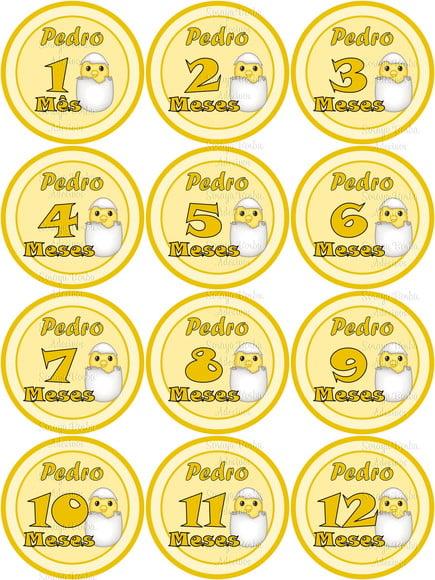 Kit de Adesivo Mêsversário Pintinho
