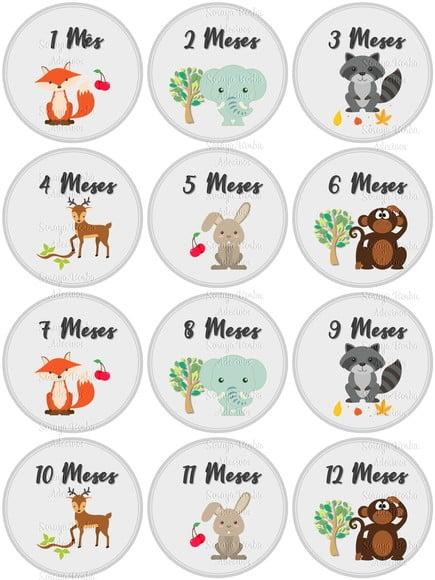 Kit Mêsversario Adesivo para Body Animais da Selva