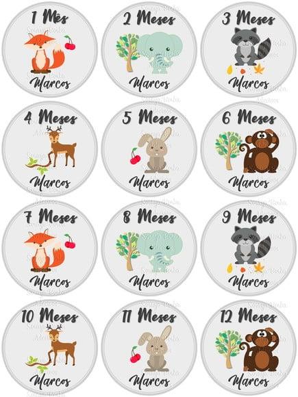 Kit de Adesivo Mêsversario Animais da Selva