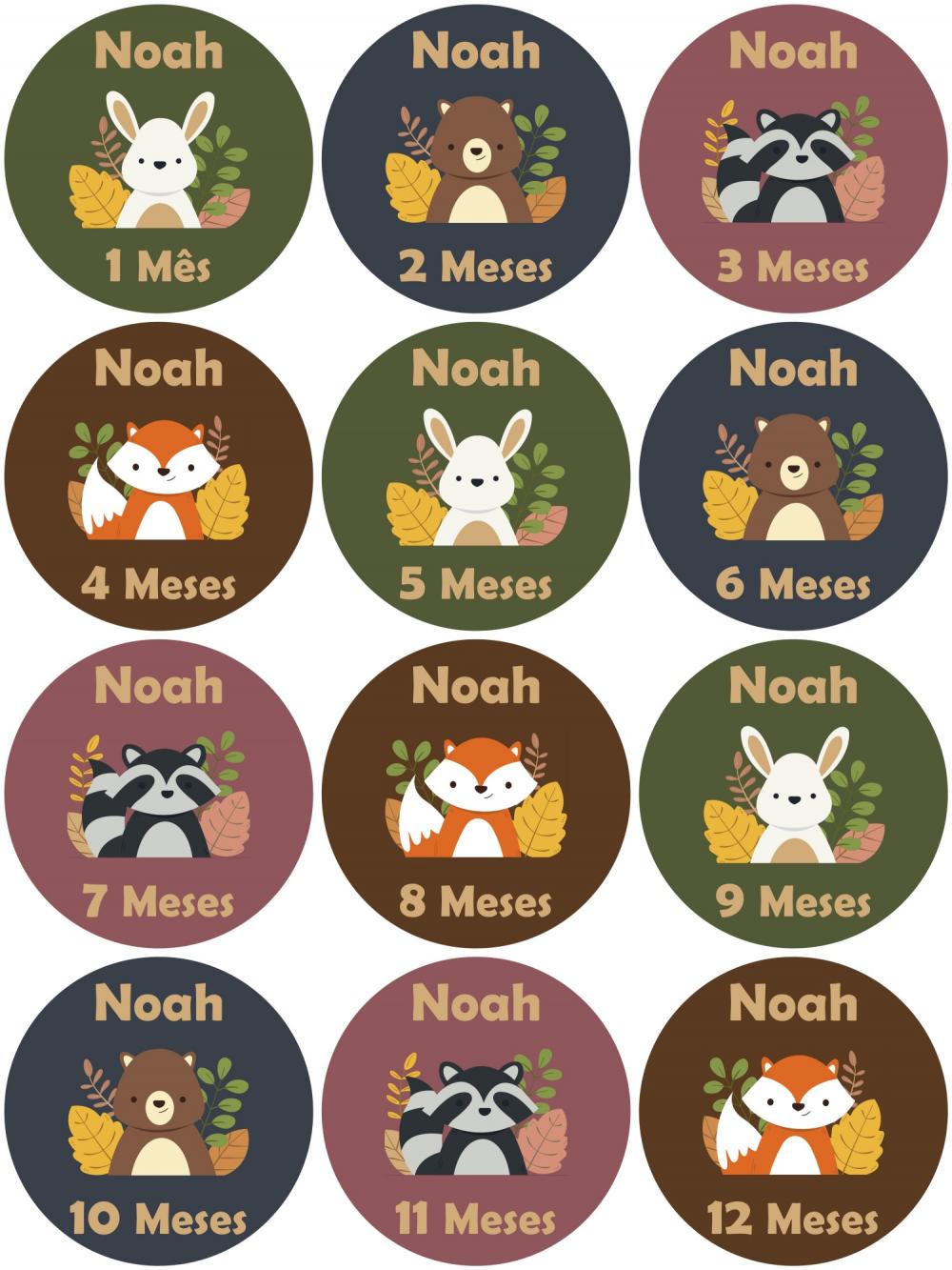 Kit Adesivo Mêsversário Animais
