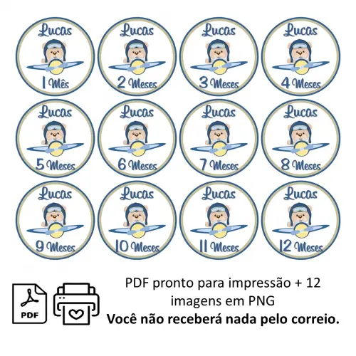 Arquivo Digital Mêsversário Ursinho Aviador