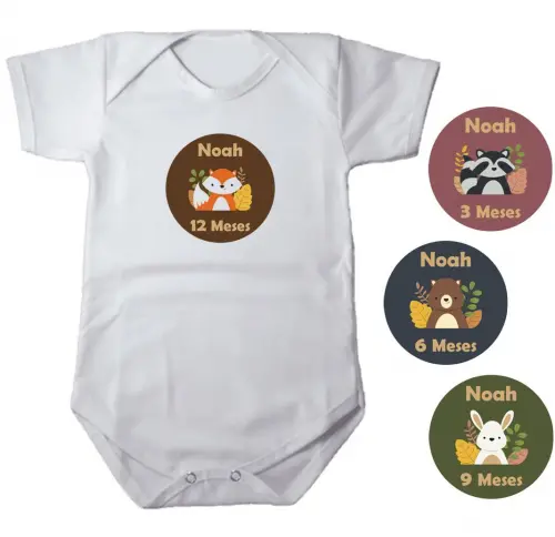 Kit Adesivo Mêsversário Animais