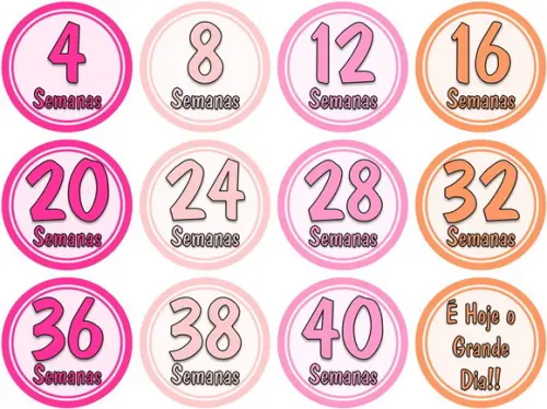 Acompanhamento Semanas da Gravidez