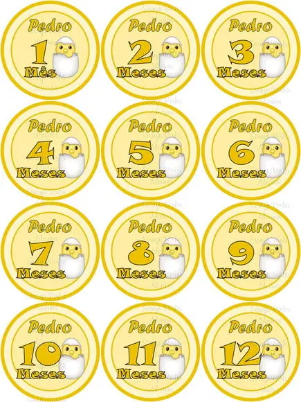 Kit de Adesivo Mêsversário Pintinho