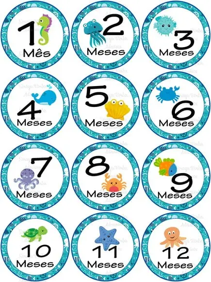 Kit de Adesivo para Body - Mêsversário Fundo do Mar