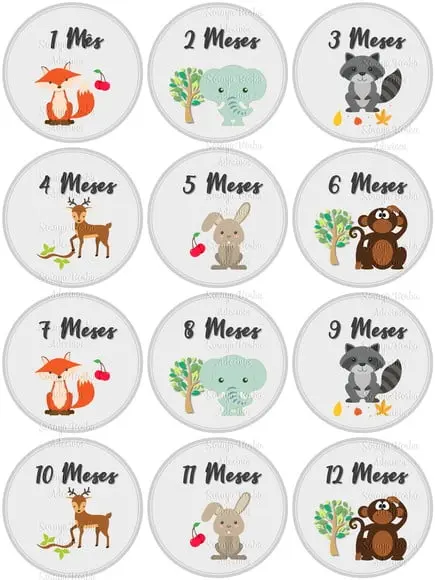 Kit Mêsversario Adesivo para Body Animais da Selva