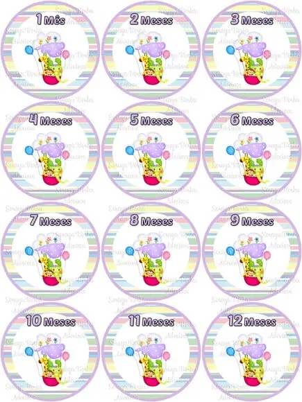 Kit de Adesivo Mêsversário Animais