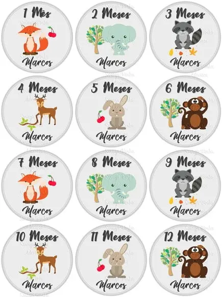 Kit de Adesivo Mêsversario Animais da Selva