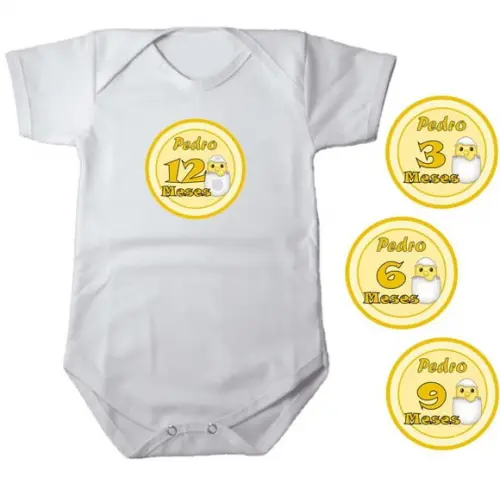 Kit de Adesivo Mêsversário Pintinho