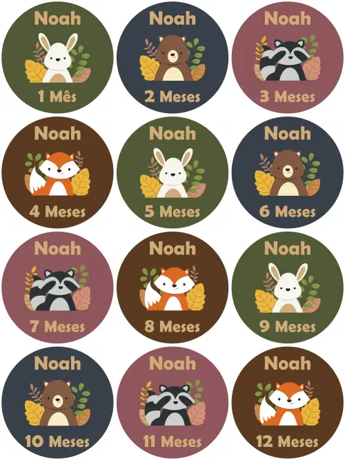 Kit Adesivo Mêsversário Animais