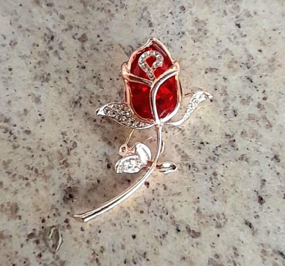 Broche Dourado/pedras