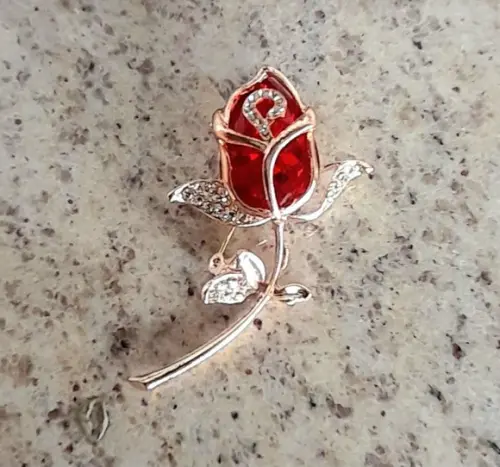 Broche Dourado/pedras