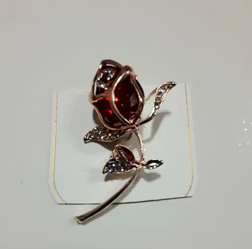 Broche Dourado/pedras