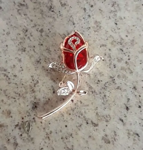 Broche Dourado/pedras
