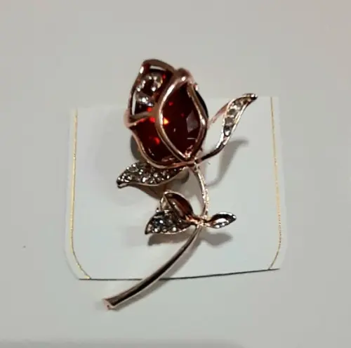 Broche Dourado/pedras