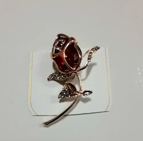 Broche Dourado/pedras