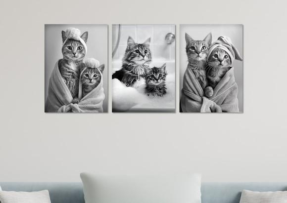Kit 3 Placas Decorativas Quadro Gatos Banho Banheiro Roupão