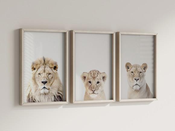 Kit 3 Quadros Decorativos Moldura Leão Leoa Filhote