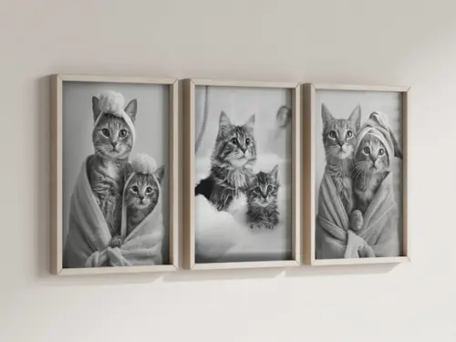 Kit 3 Quadros Decorativos Moldura Gatos Banho Banheiro