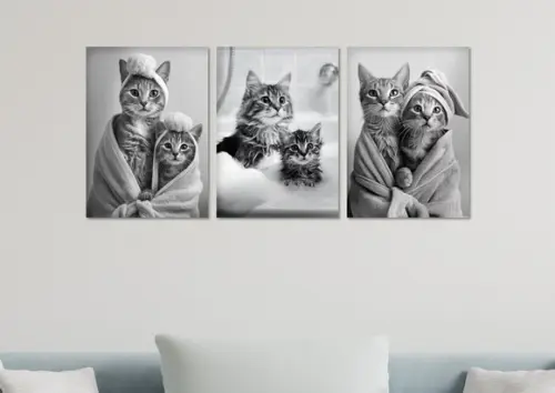 Kit 3 Placas Decorativas Quadro Gatos Banho Banheiro Roupão