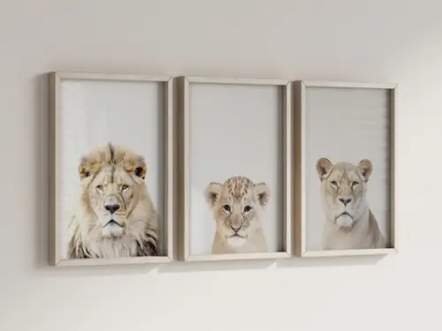Kit 3 Quadros Decorativos Moldura Leão Leoa Filhote