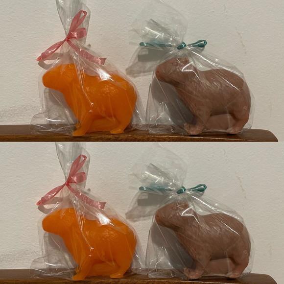 Lembrancinha Capivara Animais Silvestres Roedor Amazonas