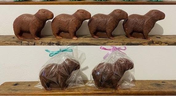Lembrancinha Capivara Animais Silvestres Roedor Amazonas
