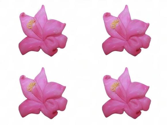 Lembrancinha Baunilha Vanilla Orquídea Flor Flores Planta nature