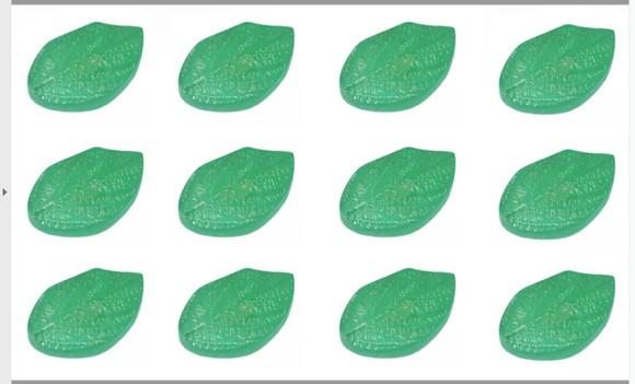 Lembrancinha Folha Arvore Mata Natureza Floresta Planta Zen jurem