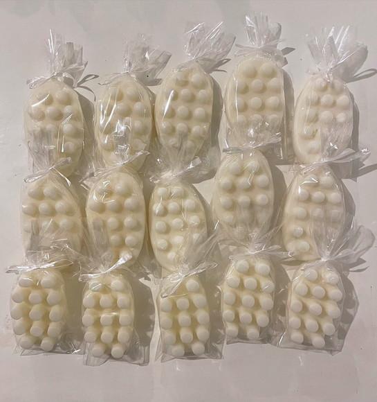 Lembrancinha Cacto Bola Suculenta Planta Flor Zen Nordeste