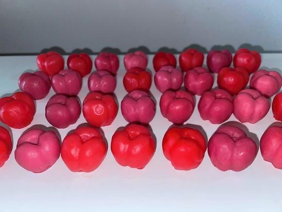 Lembrancinha Acerola Horta Feira Festa Fazendinha Frutas