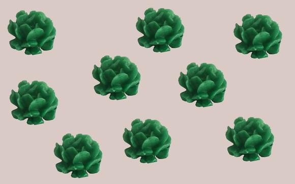 Lembrancinha Suculenta Dobrada Folha Planta Cacto Flor deserto se