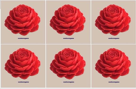 Lembrancinha Rosa Holandesa Rosas Flores Jardim Natureza cha de b
