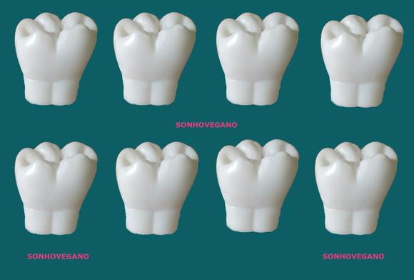 Lembrancinha Dente Molar Dentista Odontologia Maternidade