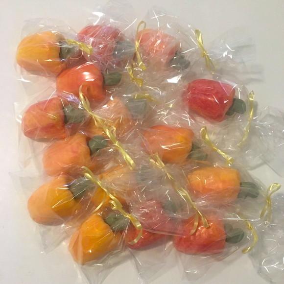 Lembrancinha Caju Hortinha Feira Horta Aniversário Fruta