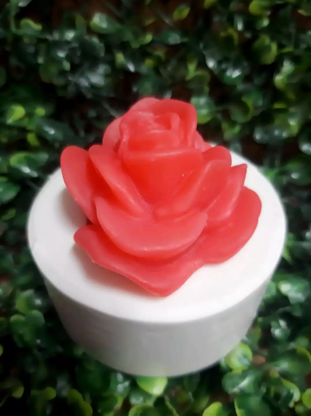 Lembrancinha rosa Flores rosas Noivado Presente Jardim natureza c