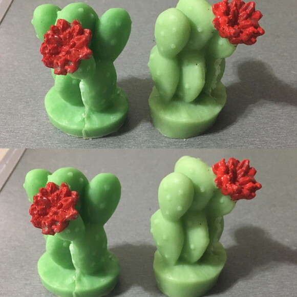 Lembrancinha Suculenta Cacto Nordeste Planta Flor Sertão