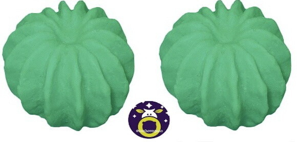 Lembrancinha Cacto redondo Suculenta Planta Deserto Flor Faroeste