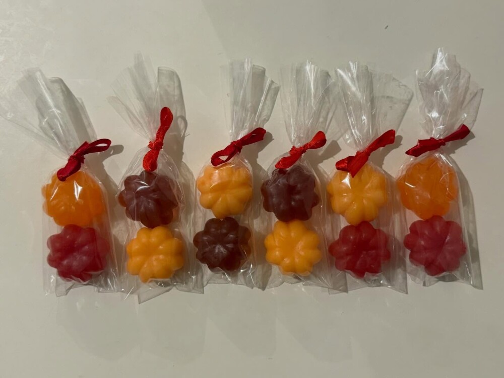 Lembrancinha Pitanga Fruta Hortinha Quitanda Festa Tropical