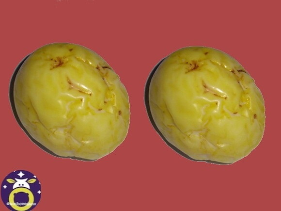 Lembrancinha Maracujá Festa Havaiana Tropical Horta Fruta
