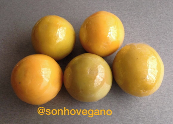Lembrancinha Laranja Festa no havai Tropical Horta Fazendinha sab