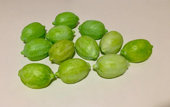 Lembrancinha Limão siciliano Hortinha Praia Festa Havaiana Fruta